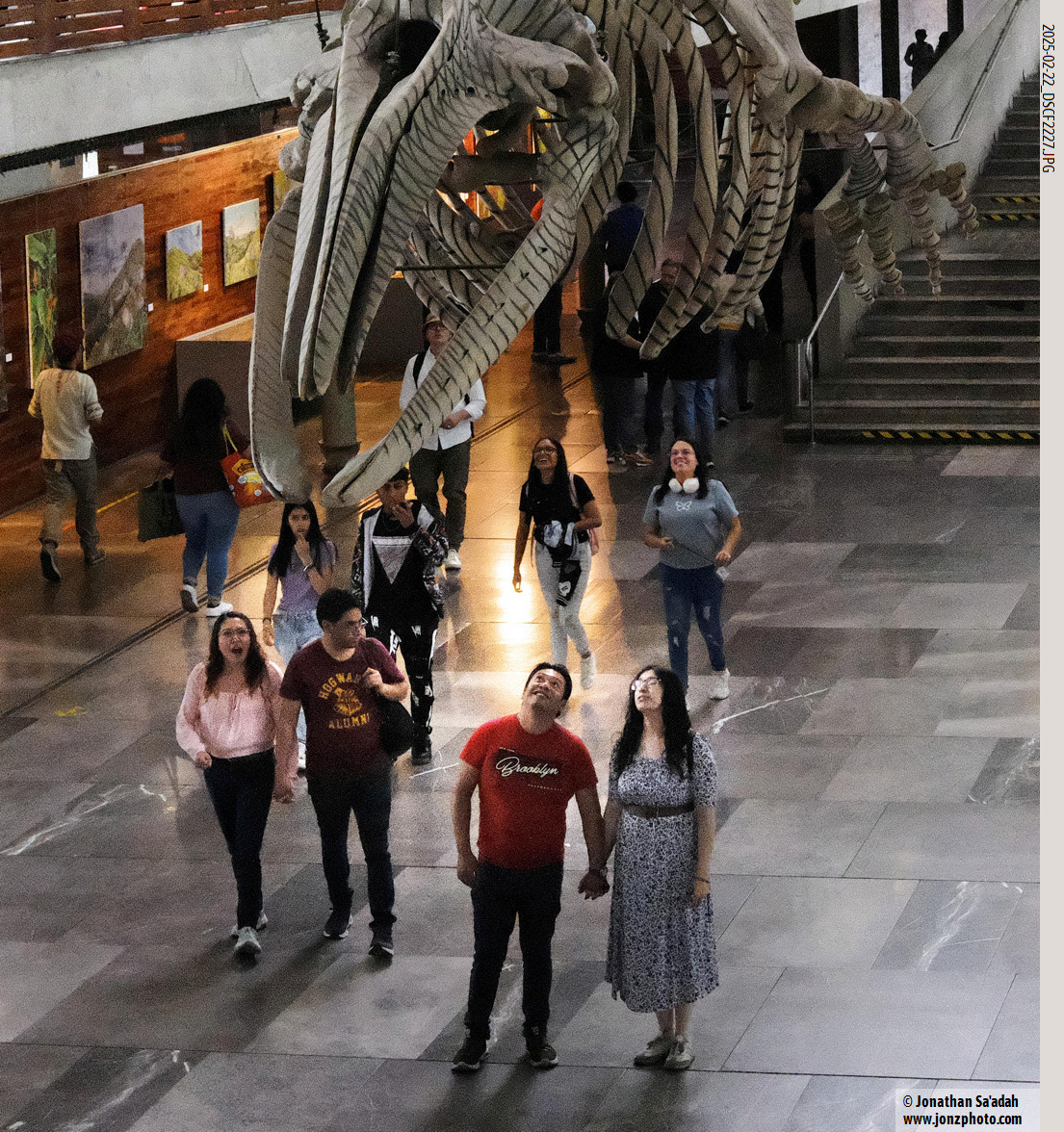 Visitors reacting to the reworked white whale skeleton by Mexican-born artist Gabriel Orozco at Biblioteca Vasconcelos.